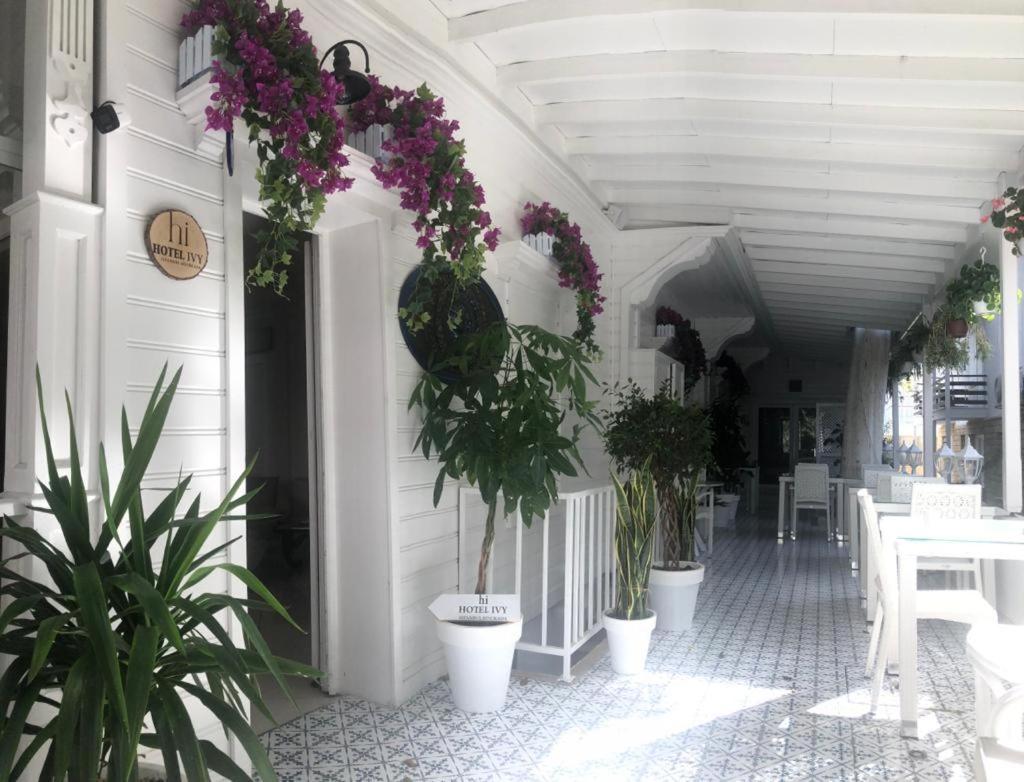 Hi Hotel Ivy Bueyuekada Adalar Extérieur photo
